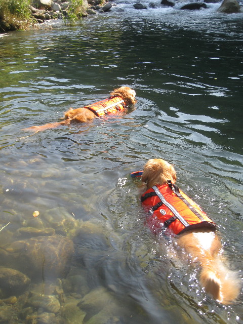 ファイル 949-3.jpg