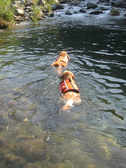 ファイル 949-4.jpg