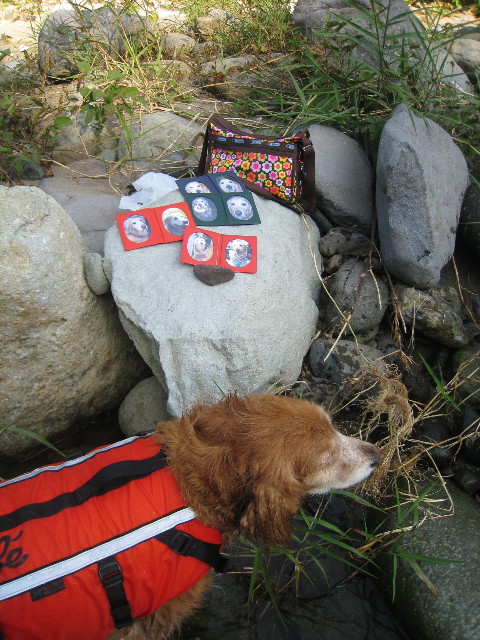 ファイル 949-5.jpg