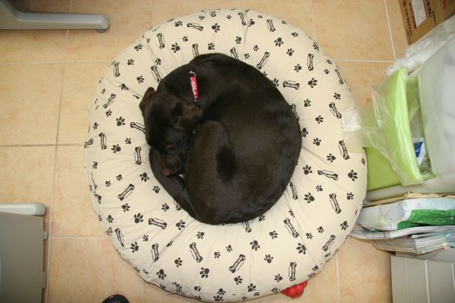 ファイル 95-1.jpg