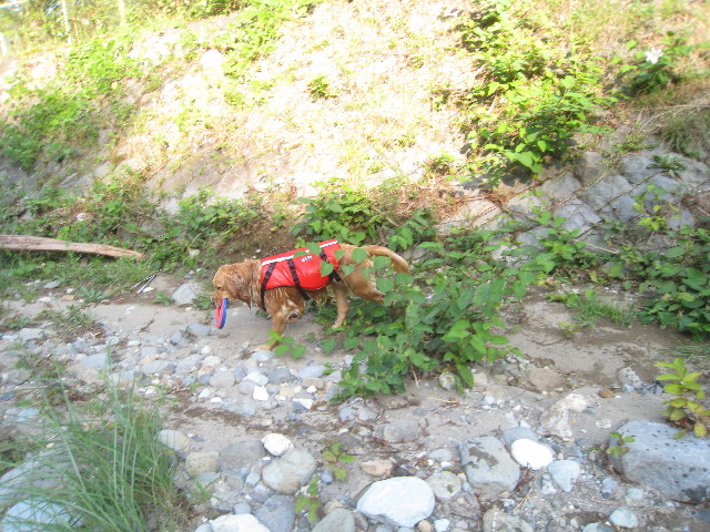 ファイル 950-2.jpg