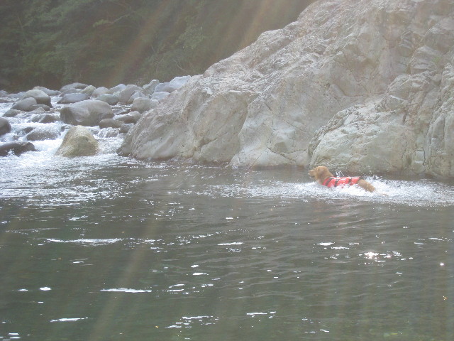 ファイル 950-5.jpg