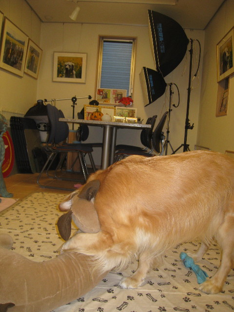 ファイル 965-3.jpg