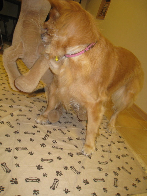 ファイル 965-4.jpg