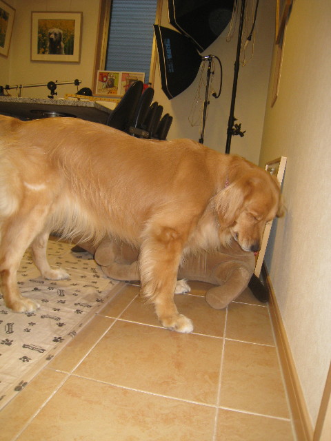 ファイル 965-5.jpg