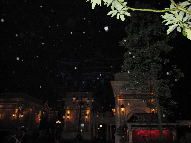 ファイル 976-2.jpg