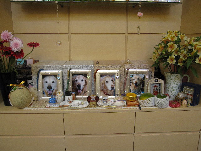 ファイル 978-4.jpg