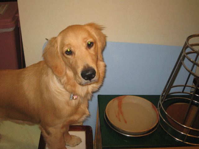 ファイル 98-1.jpg