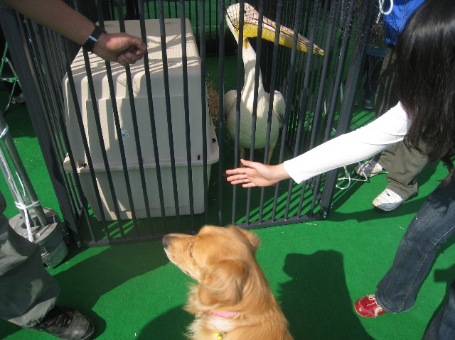 ファイル 981-2.jpg