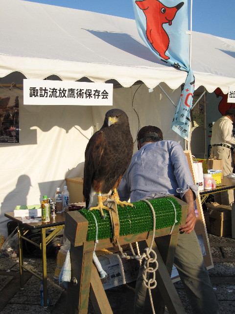 ファイル 981-5.jpg