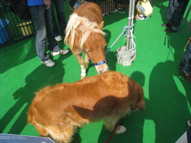 ファイル 982-3.jpg