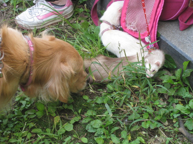 ファイル 982-4.jpg