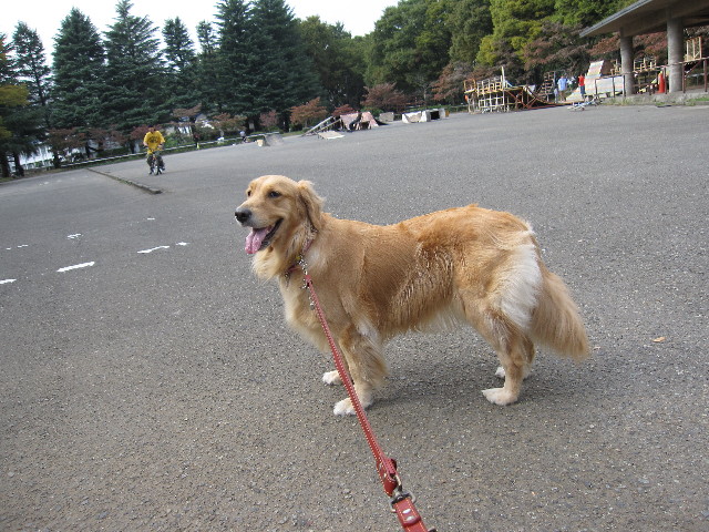 ファイル 984-1.jpg