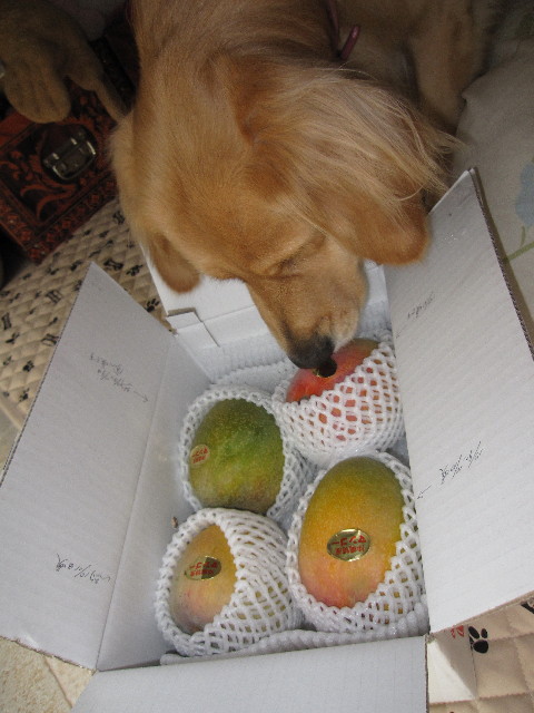 ファイル 984-4.jpg