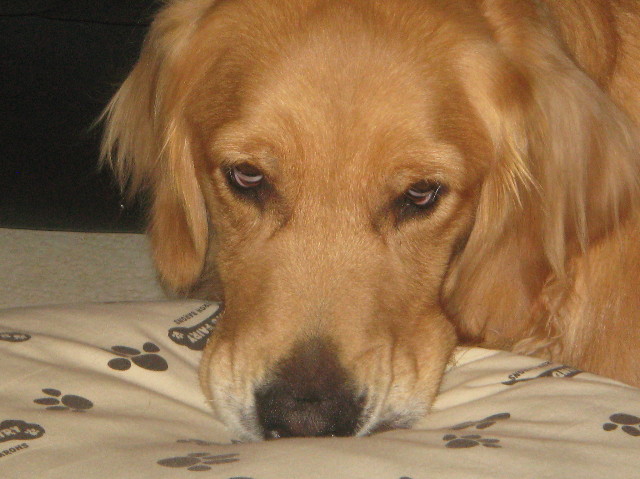 ファイル 987-3.jpg