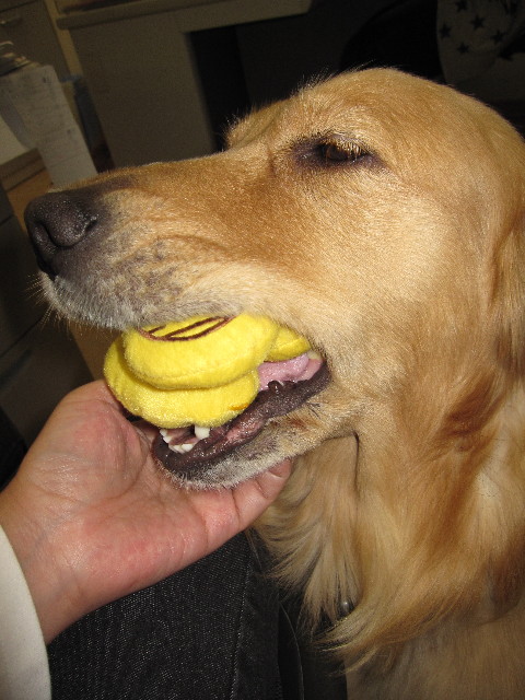 ファイル 987-5.jpg