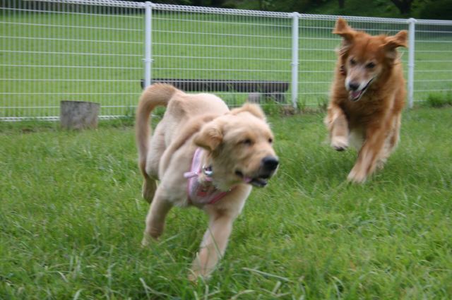 ファイル 99-2.jpg