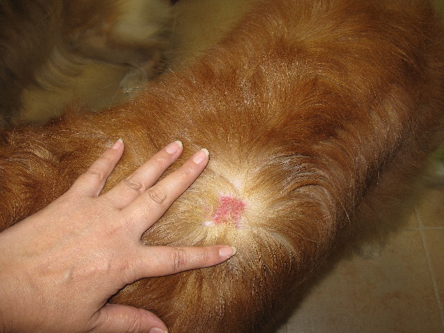 ファイル 990-1.jpg