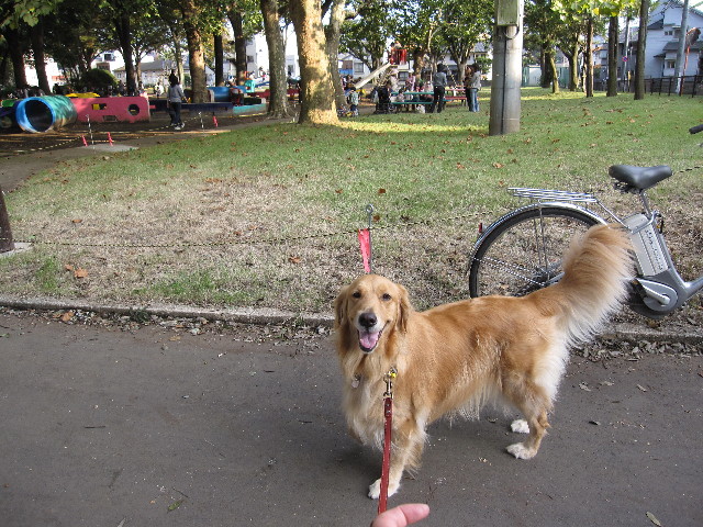 ファイル 990-2.jpg