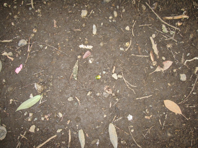 ファイル 990-3.jpg