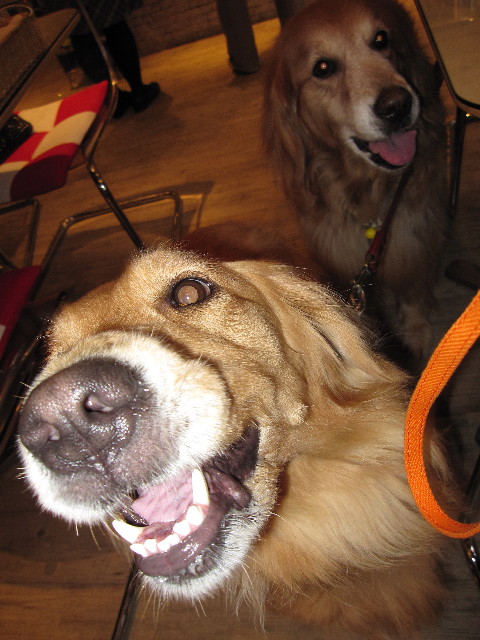 ファイル 990-4.jpg