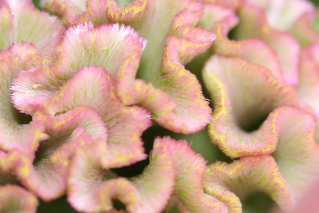 ファイル 990-5.jpg