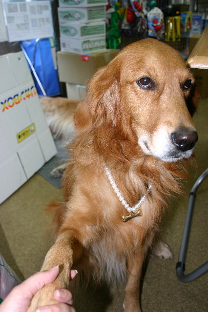 ファイル 991-1.jpg