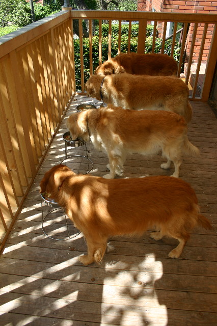 ファイル 991-3.jpg