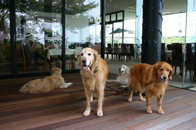 ファイル 991-4.jpg