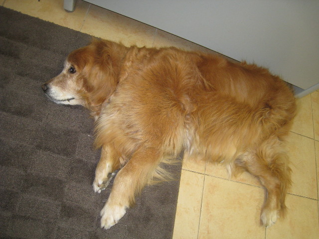 ファイル 991-5.jpg