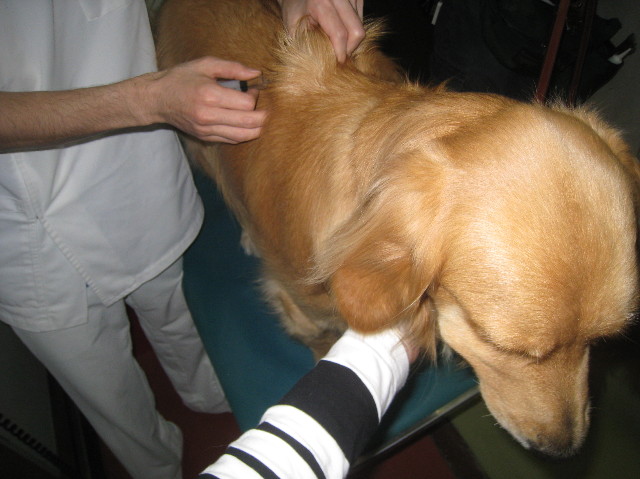 ファイル 992-3.jpg