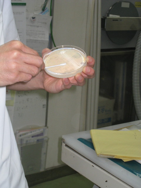 ファイル 993-4.jpg