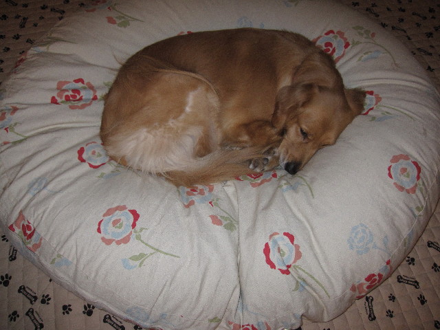 ファイル 996-2.jpg