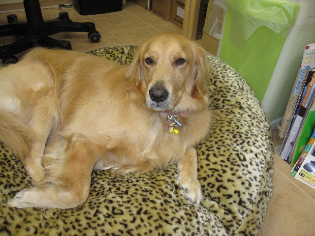 ファイル 996-3.jpg