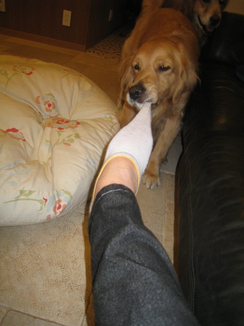 ファイル 997-1.jpg