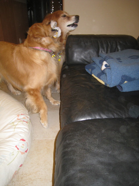 ファイル 997-2.jpg