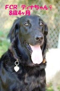 ファイル 998-1.jpg