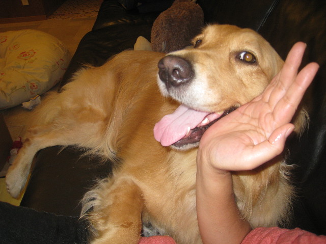 ファイル 999-5.jpg